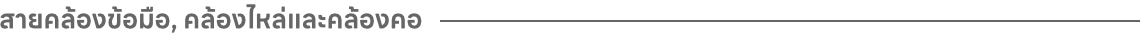 Category Strap desktop